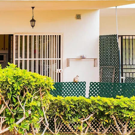 Live Cristianos Garden And Pool * Guincho (Tenerife)
